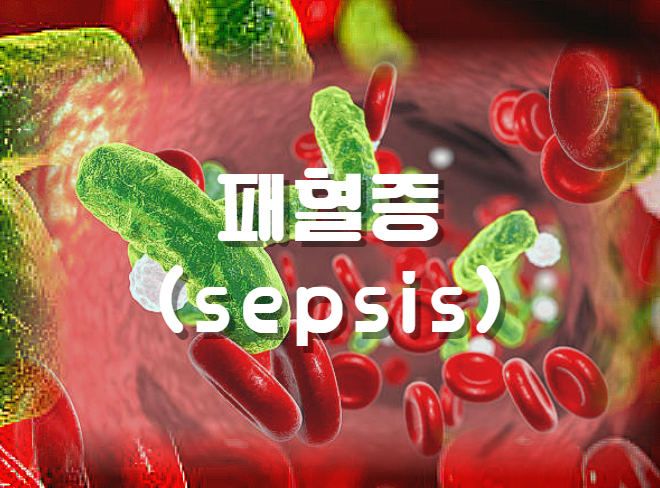  [생리학]  패혈증(sepsis)의 단계와 특성