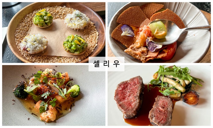  [대구] 높은 퀄리티에 가격까지 착해진 대구 파인 다이닝 1등 맛집.! 중구 ' 셀리우 런치 '