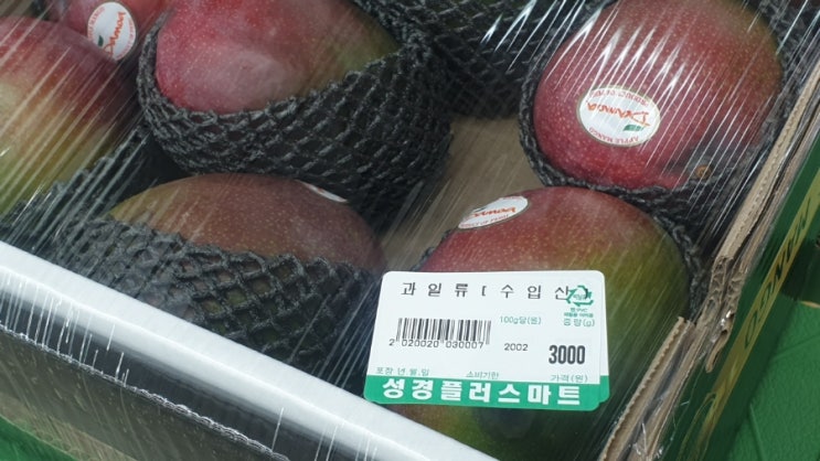  수입산 과일류 애플망고 먹어본 썰
