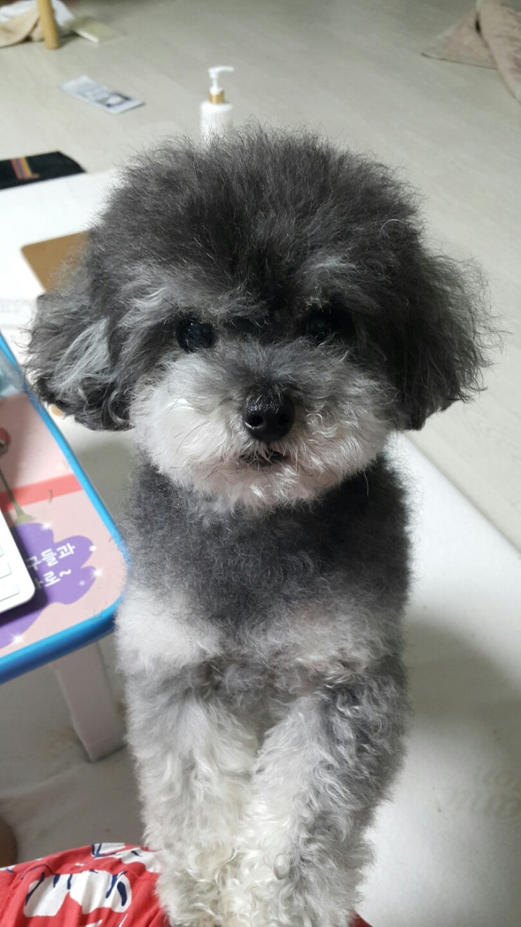  간식 주세욤~