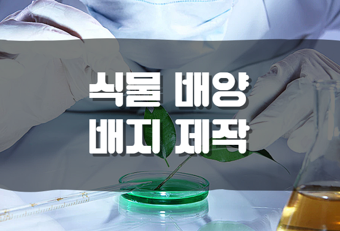  [분자생물학] 식물 배양 배지 제작 (MSO/MS)