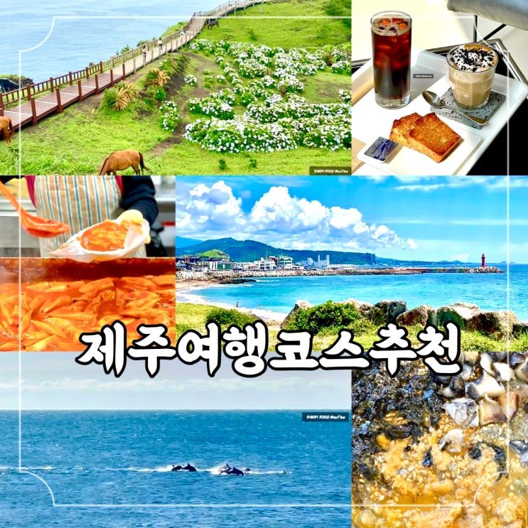  제주 5월 여행 코스 정리 관광지 맛집 카페 포함 서귀포 사계 대정 가볼만한곳