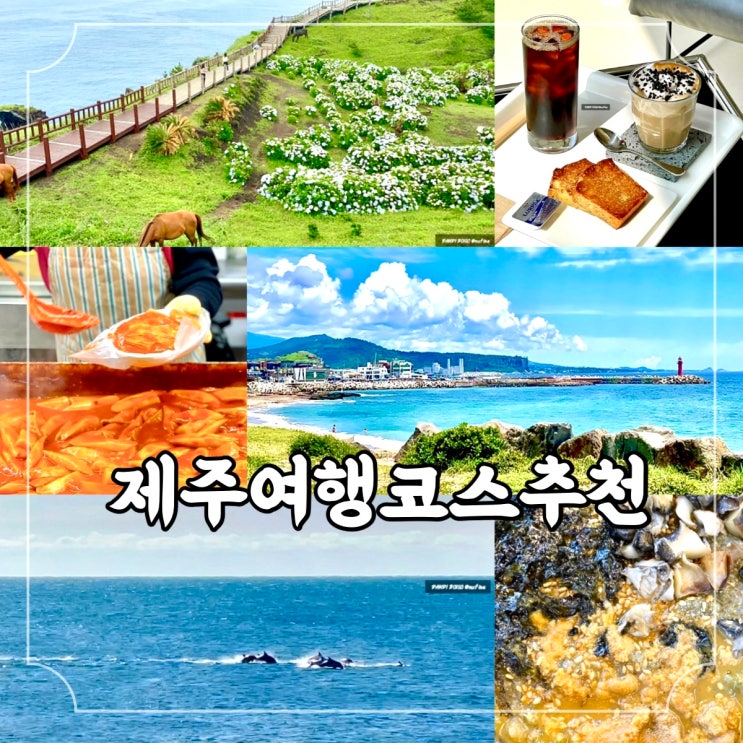 제주 5월 여행 코스 정리 관광지 맛집 카페 포함 서귀포 사계 대정 가볼만한곳