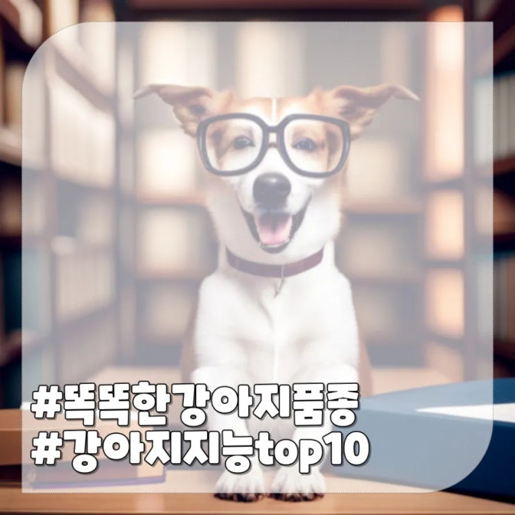 강아지 지능 높은 품종 똑똑한 견종 순위 top 10