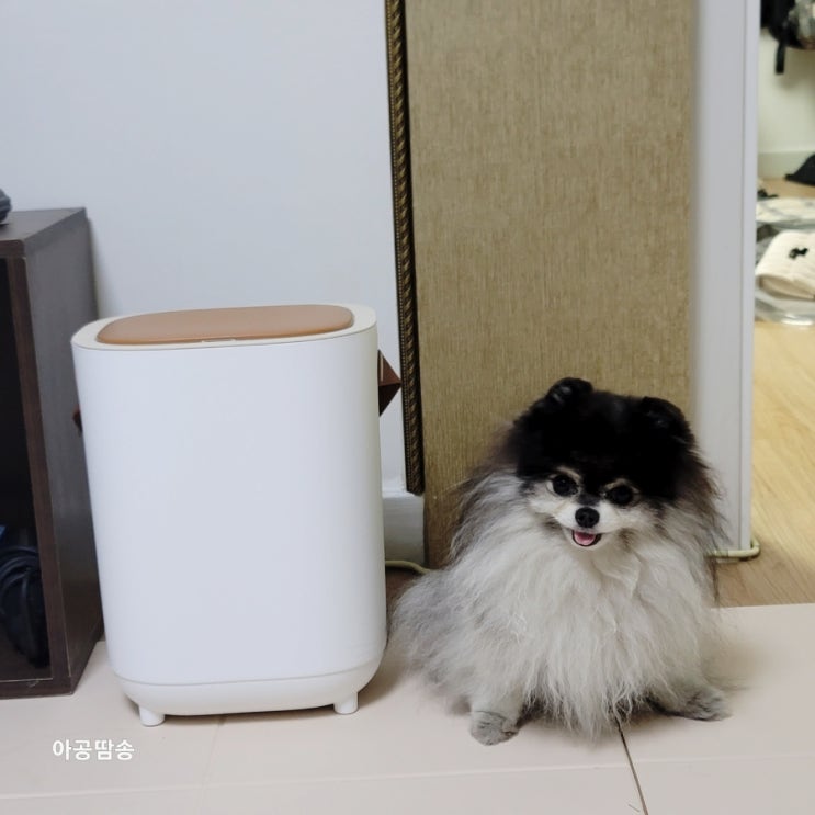  늘바론 자동센서휴지통 강아지 소변 냄새차단 후기