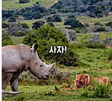 VIDEO: Mom & baby Rhinos  ㅣ Cute Perfect Golfer