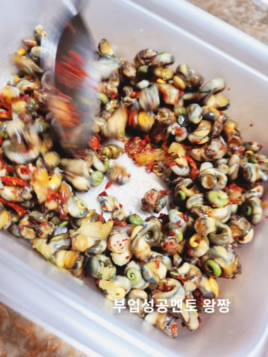 고동 효능 부작용 고동의 종류 고동 끓이는 방법