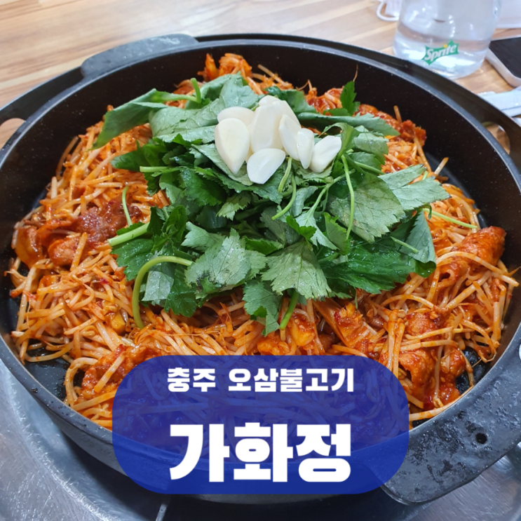  충주 현지인 맛집 가화정 오삼불고기, 연수동 존맛탱 닭갈비