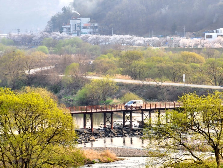  세종시 노을명소 오티움 / 부용리 벚꽃 십리길, 카페 에브리선데이 / 세종시 셀프세차장 세종카스팟