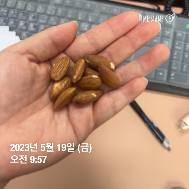  슬기로운 다이어트 걷기 2일~4일차 (5/19~21)
