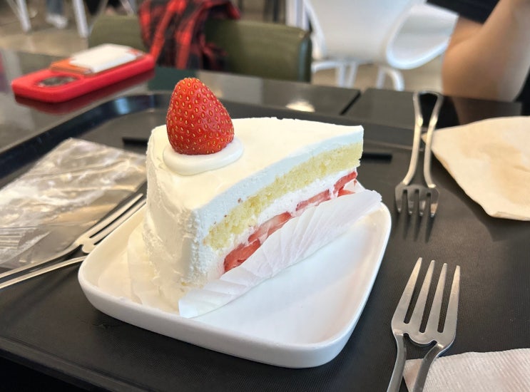  [대전 둔산동] 라드커피 본점 - 케이크와 음료가 맛있는 곳