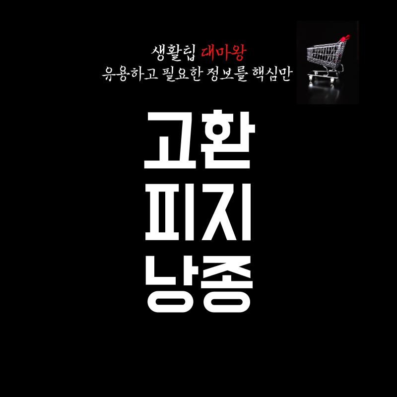 고환 피지낭종 원인 증상 치료 예방