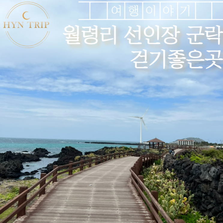  월령리 선인장 자생지 군락, 오션뷰 카페까지