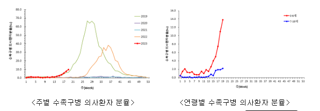 한달 새, 영유아(0~6세)에서 수족구병 3배 이상 증가(5.19.금)