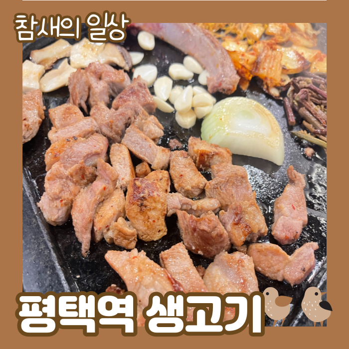  평택동 고기집 추천 '평택역 생고기' 돌판에 구워주는 맛집!