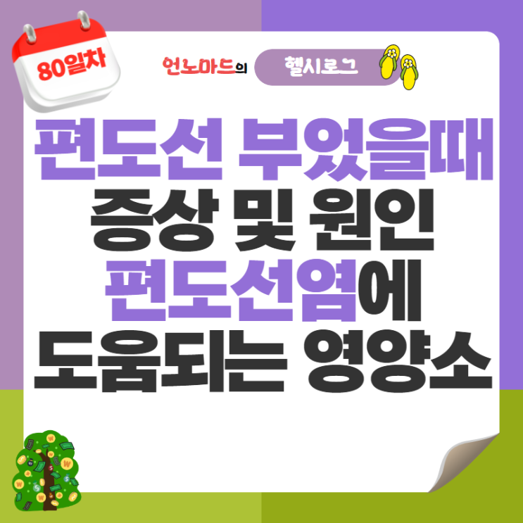  80일차, 편도선 부었을때 증상 및 원인과 편도선염에 도움되는 영양소