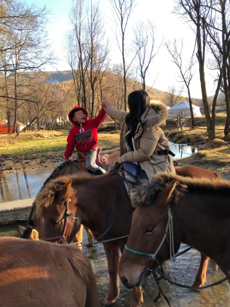  [몽골 여행] 테를지 _ 승마 체험, 허르헉