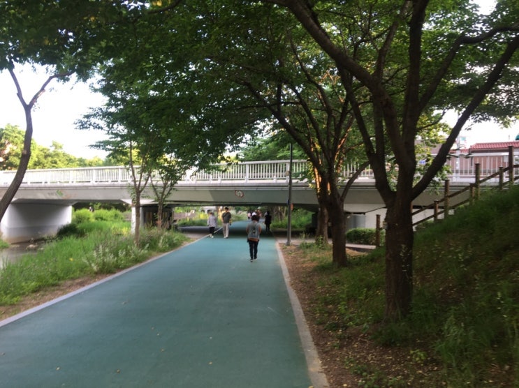  4km 달리기 - 6일