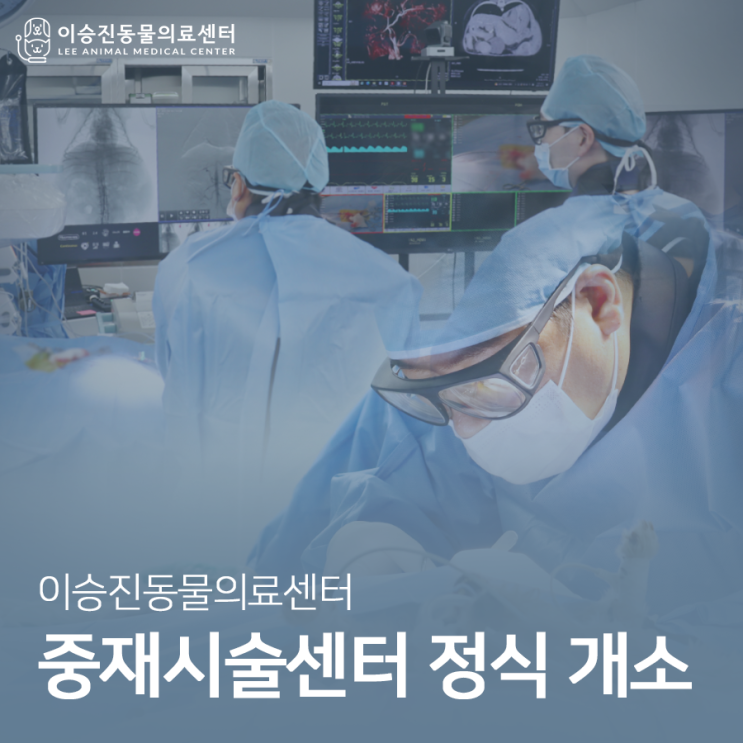  [울산 24시 동물병원 이승진동물의료센터] 중재시술센터 정식 개소