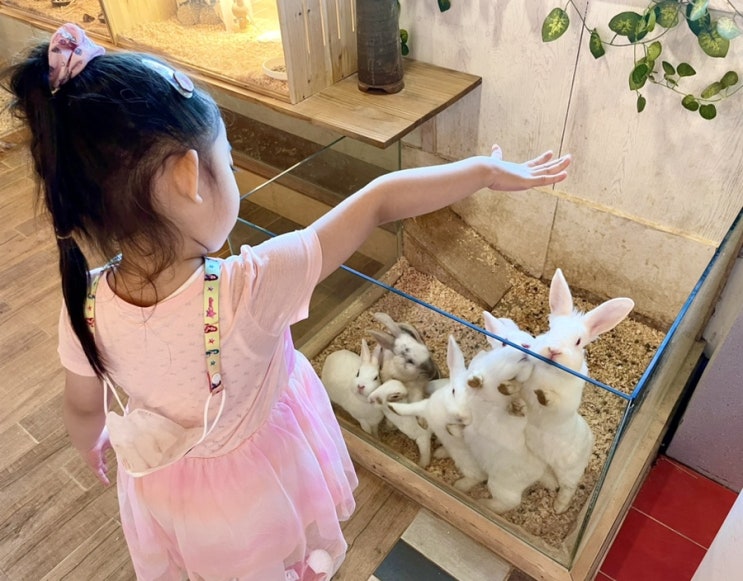 논산 토끼랑카페 아이가 좋아하는 동물먹이주기체험 키즈카페 물놀이