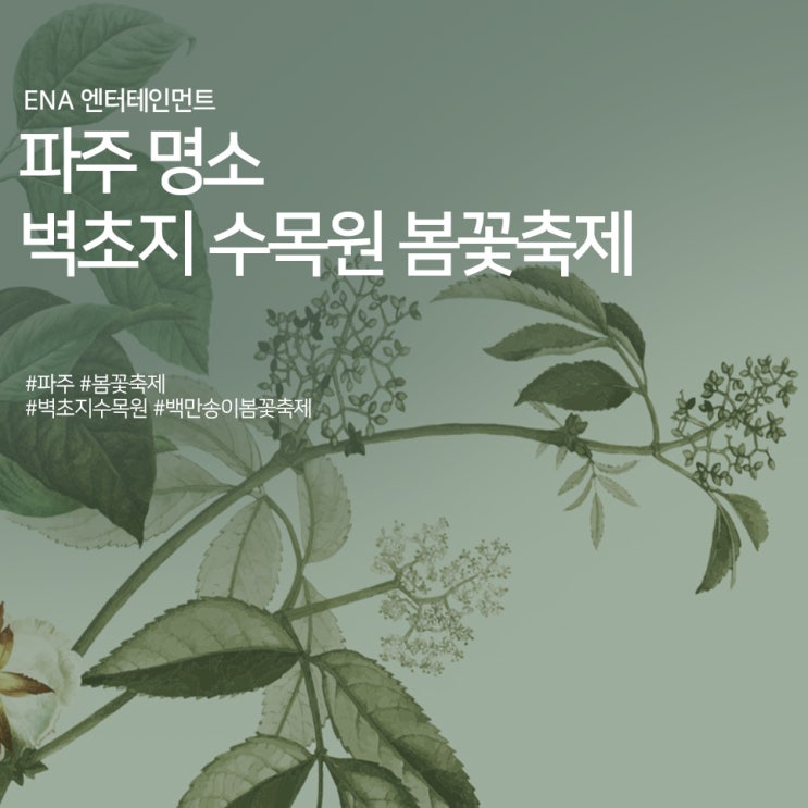  파주 명소 벽초지 수목원 봄꽃축제 : 백만송이봄꽃축제