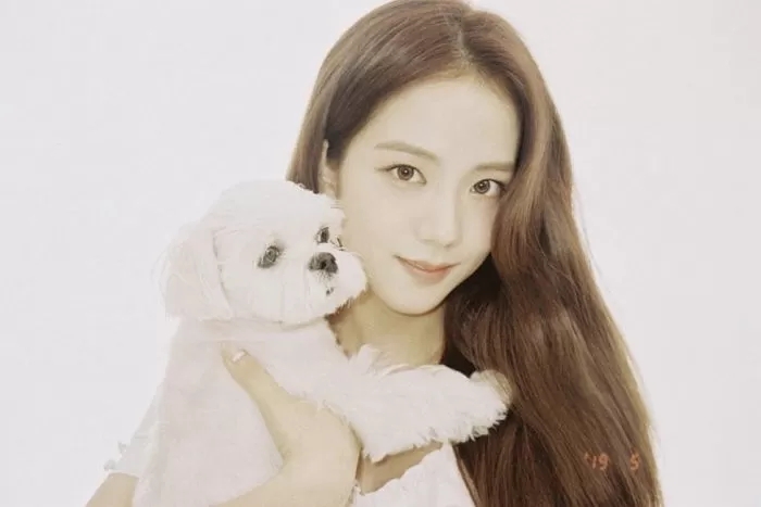 블랙핑크 지수, 반려견 '달곰이'에게 명품 디올 가방을 생일 선물...가격에 모두 놀랐다 블랙핑크 지수, 반려견 '달곰이'에게 명품 디올 가방을 생일 선물...가격에 모두 놀랐다