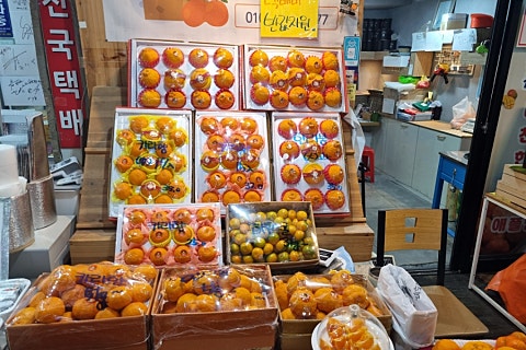 오늘청과2 이미지