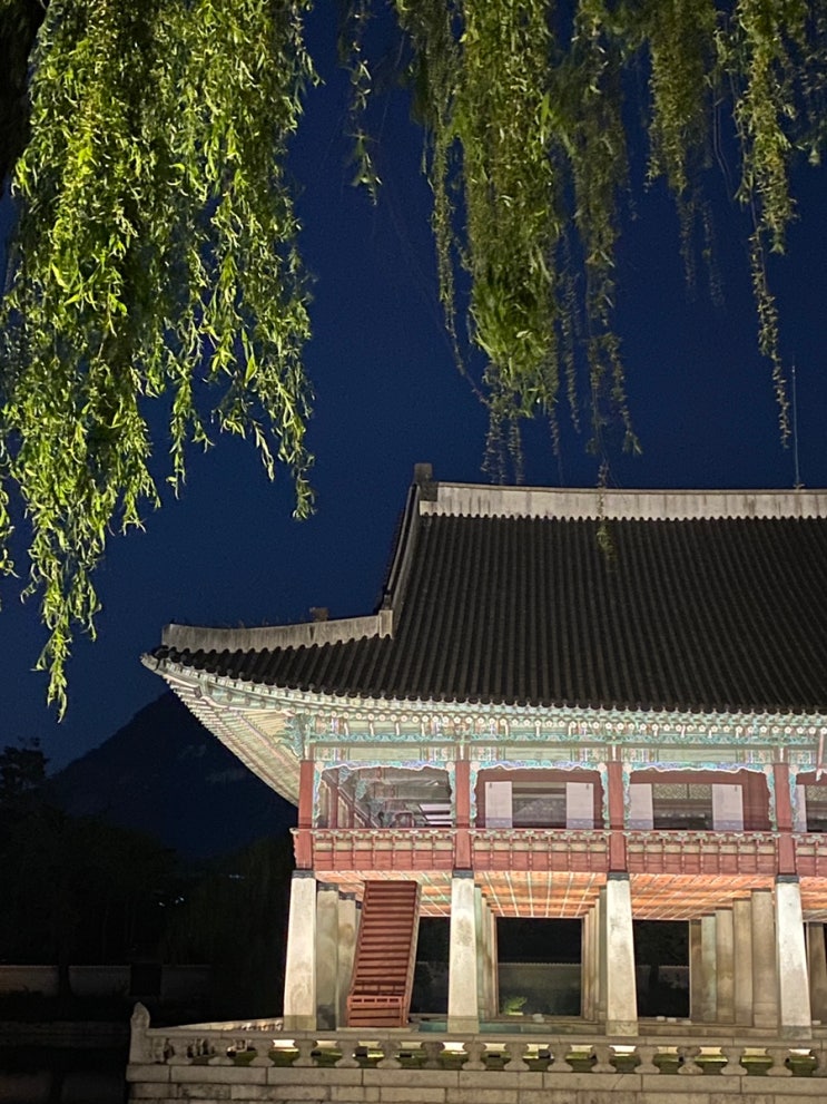  빛과 그림자의 경관: 경복궁 야간개장으로 펼쳐지는 특별한 경험