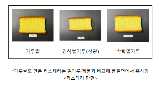 가루쌀 가공 활성화 방안 찾아 실무자 머리 맞대_농촌진흥청 가루쌀 가공 활성화 방안 찾아 실무자 머리 맞대_농촌진흥청