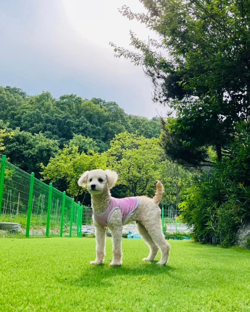 사진 5