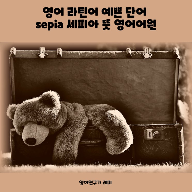 영어 라틴어 예쁜 단어 sepia 세피아 뜻 영어어원