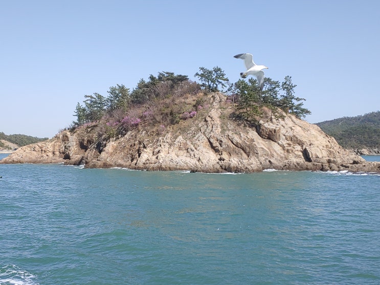 전라북도 군산여행 (새만금유람선 : 고군산군도 섬여행을 테마로 한 유람선)