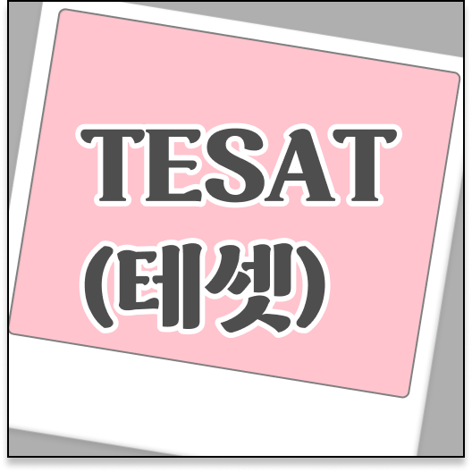  꾸준히 각광받는 국가공인 테셋(TESAT) ?