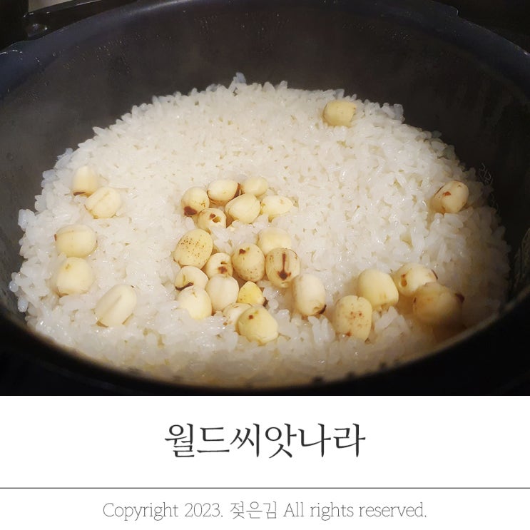월드씨앗나라 연자육으로 연자육밥 만들기 월드씨앗나라 연자육으로 연자육밥 만들기