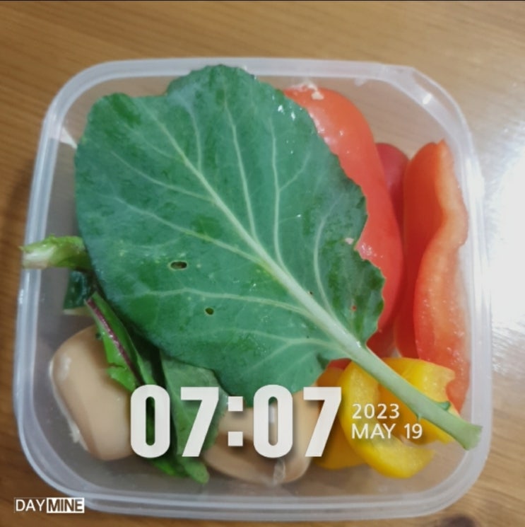  아침 야채도시락, 건강을 위한 생식