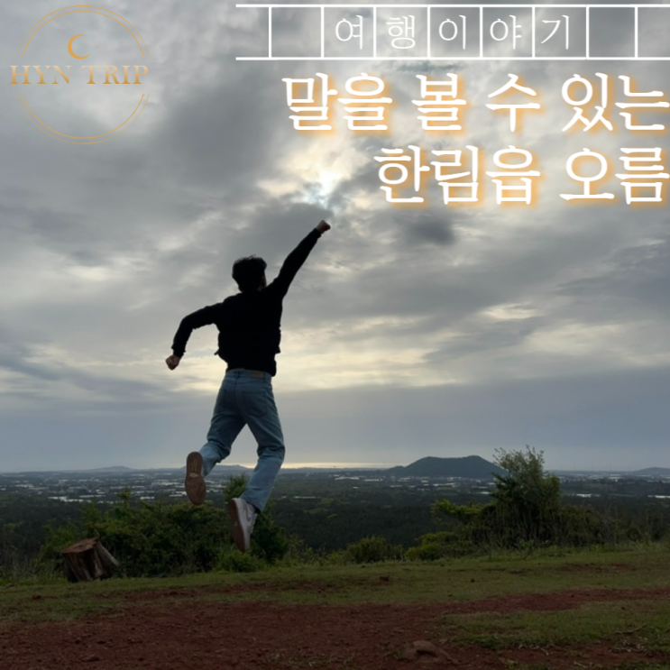  방목된 말이 있는 말농장, 인생샷 스팟 “문도지오름”