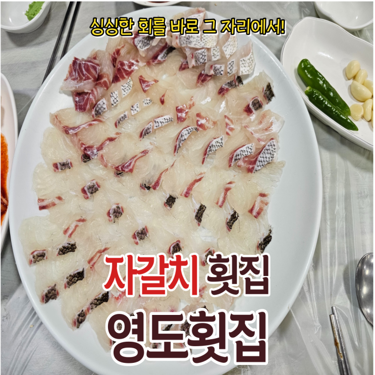  가성비 좋은 자갈치횟집 영도횟집을 추천드립니다!