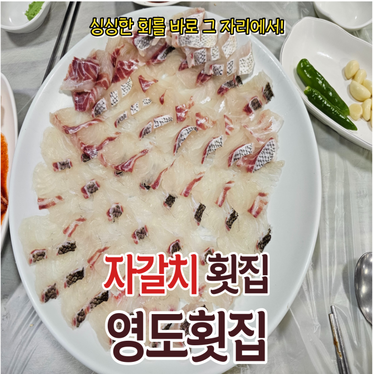 가성비 좋은 자갈치횟집 영도횟집을 추천드립니다!