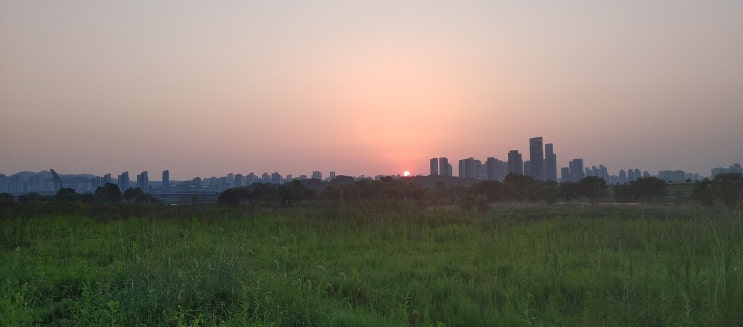  2023년 5월 19일   몰입 기록.