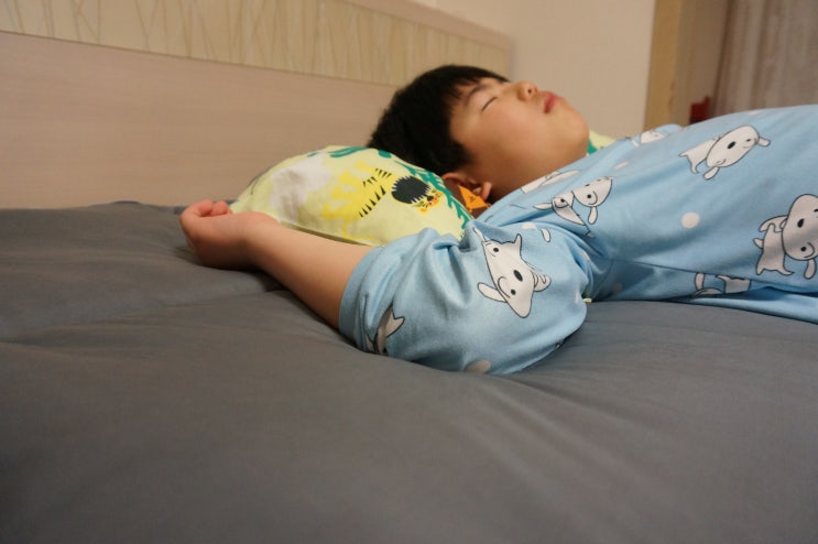  알래스카 토퍼 여름이불 사용 후기 :: 미니멀룸 쿨링토퍼