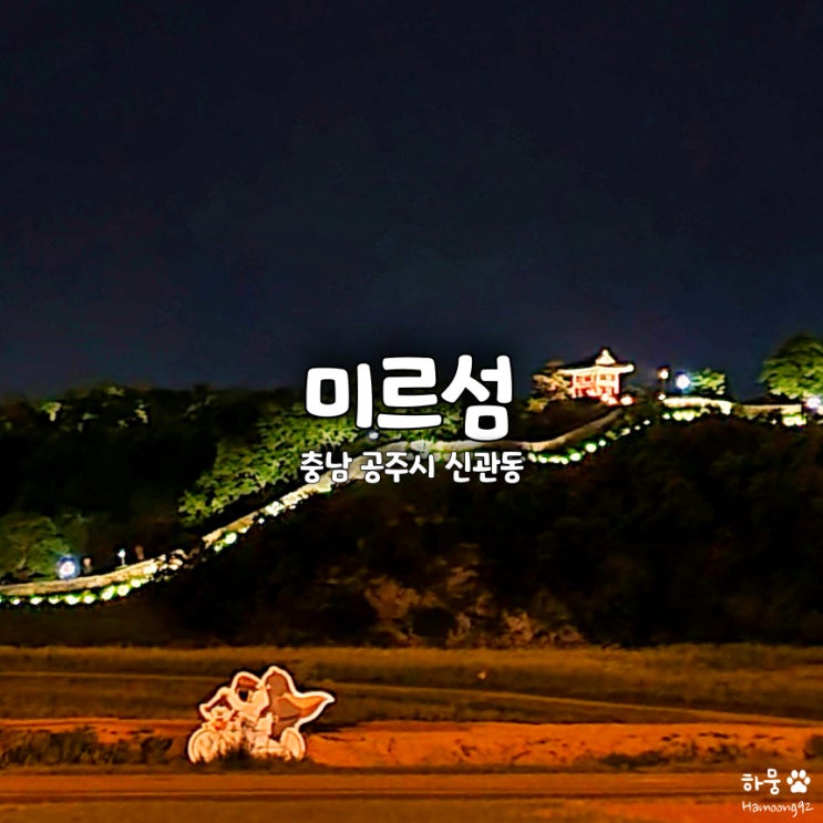  공주 공산성 한눈에 보이는 애견동반 여행지 미르섬 야경 주차장