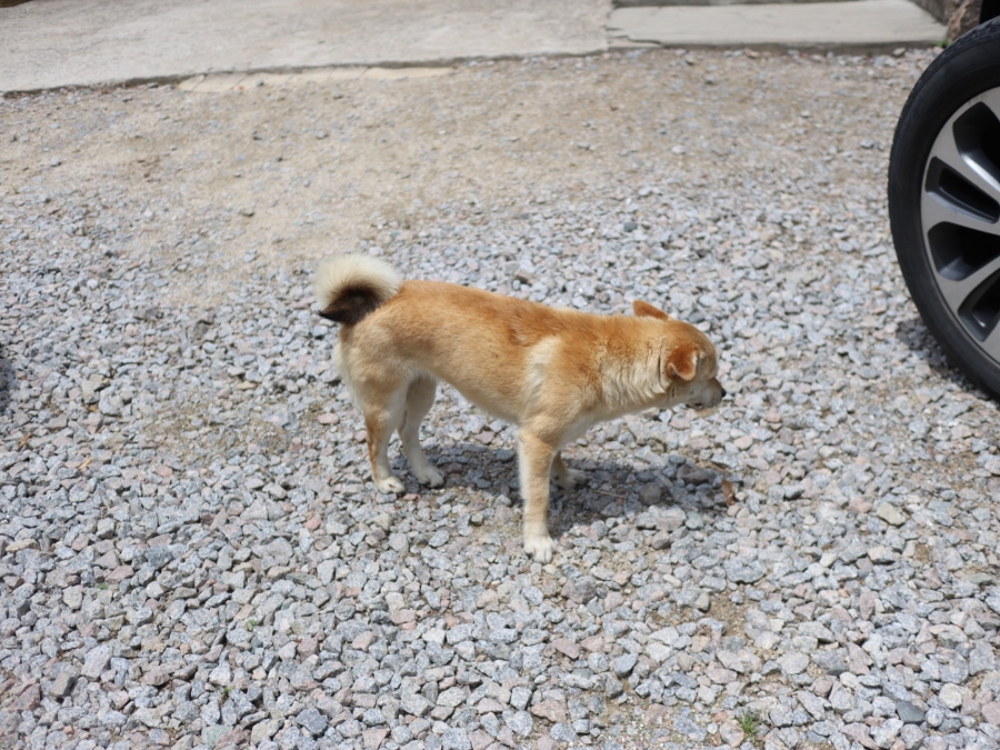 병암산가든 사진 4