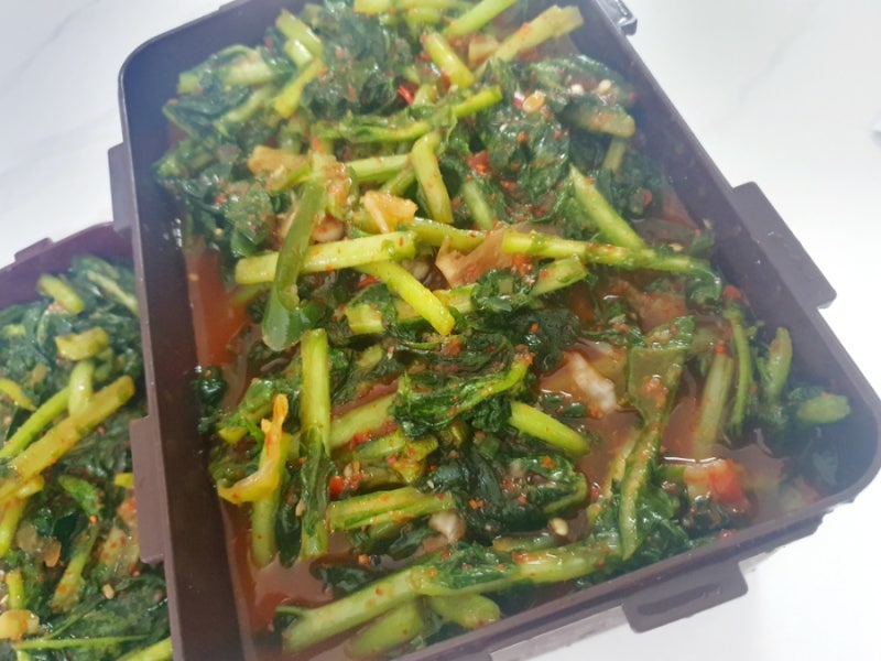 종가집열무김치 엄마손맛열무김치 강추