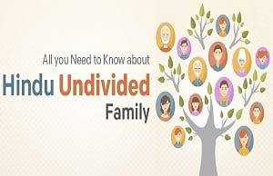 (인디샘 컨설팅) 인도의 HUF(Hindu Undivided Family: 힌두교의 미분리 가족)와 절세 (인디샘 컨설팅) 인도의 HUF(Hindu Undivided Family: 힌두교의 미분리 가족)와 절세