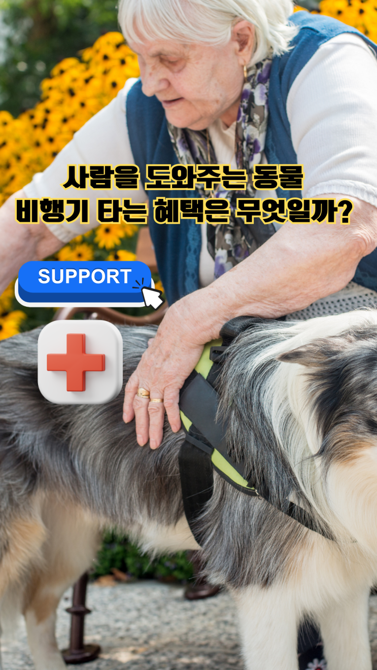  강아지 고양이 반려동물 애완동물 대형견 출국 검역 운송 [서포트dog] 해외 데려 가기