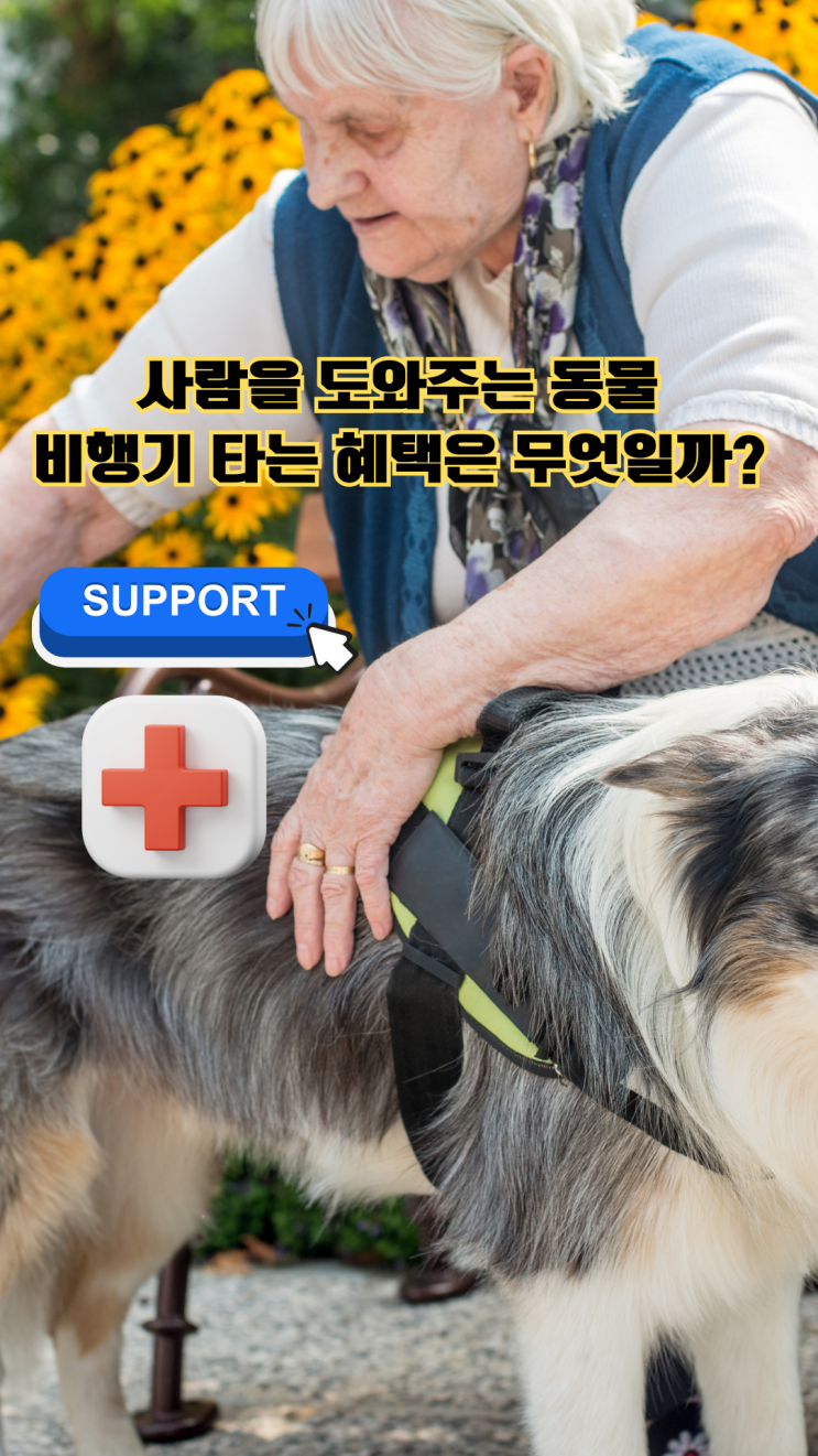 강아지 고양이 반려동물 애완동물 대형견 출국 검역 운송 [서포트dog] 해외 데려 가기