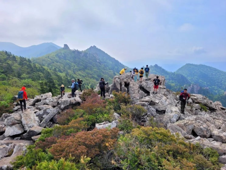  설악산 등산코스 설악산 귀때기청봉 털진달래 꽃길여행
