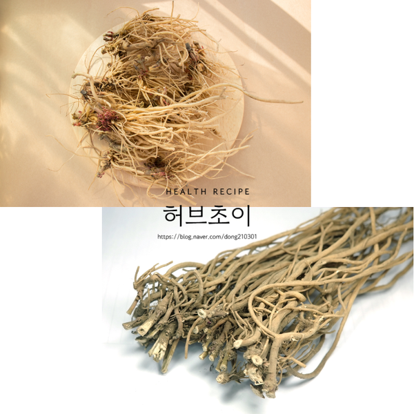 우슬차 효능 및 부작용, 우슬뿌리 차 마시는 방법 : 네이버 블로그