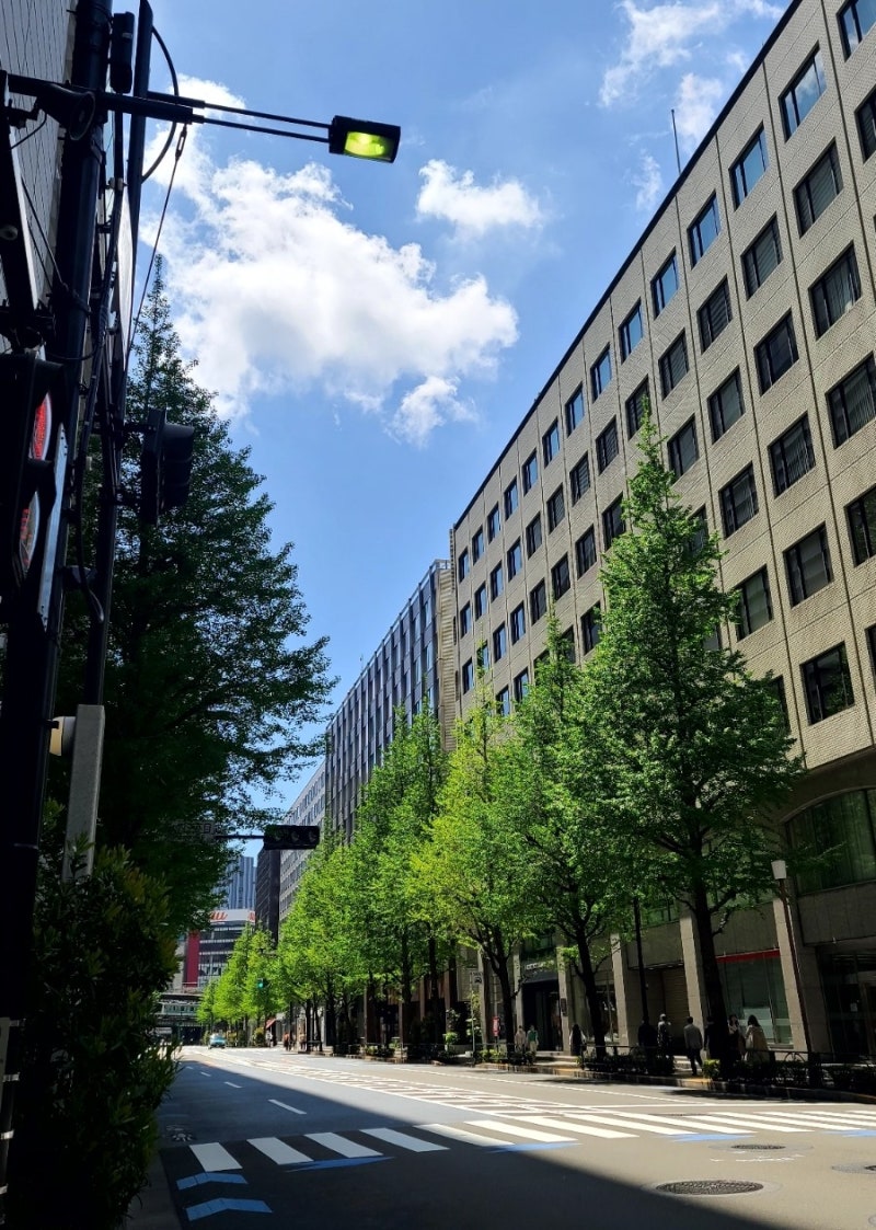 한량여행] 일본소도시 5박6일 / 도쿄역 짐보관 팁 & 도쿄여행 기념품 : 네이버 블로그