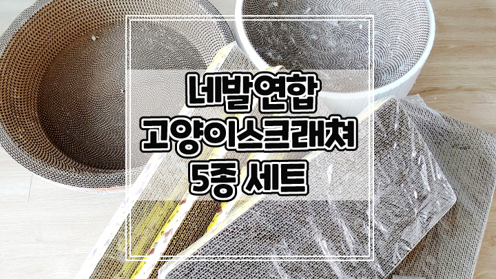  네발연합 고양이스크래쳐 5종세트로 용도에 맞는 스크래쳐 사용하세요